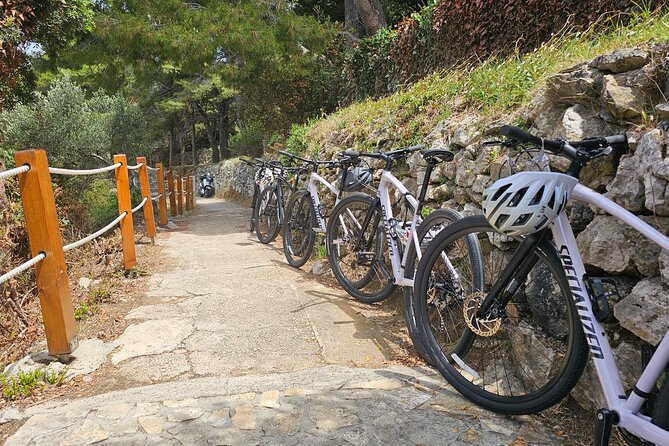 Elafiti Islands Sea kayaking: Full-Day Bike and Kayak tour on Lopud and Šipan - Šipan by bicycle: churches, vineyards, and old villas