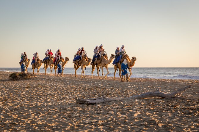 Electric Bike and Beach Camel Ride with Mexican Buffet Lunch - Electric bikes across Baja and the beach