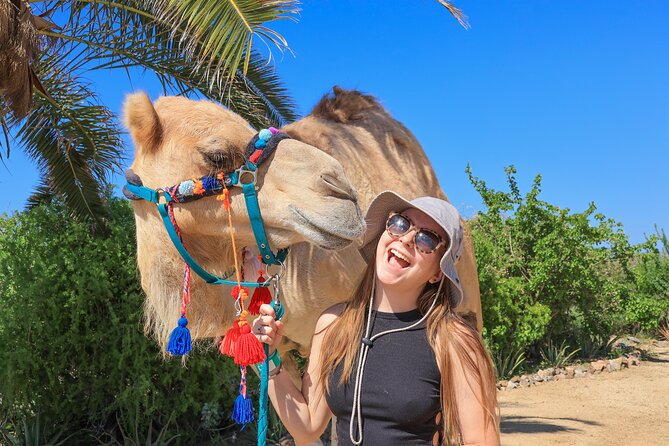 Electric Bike and Beach Camel Ride with Mexican Buffet Lunch - A 20-minute camel walk beside the Pacific