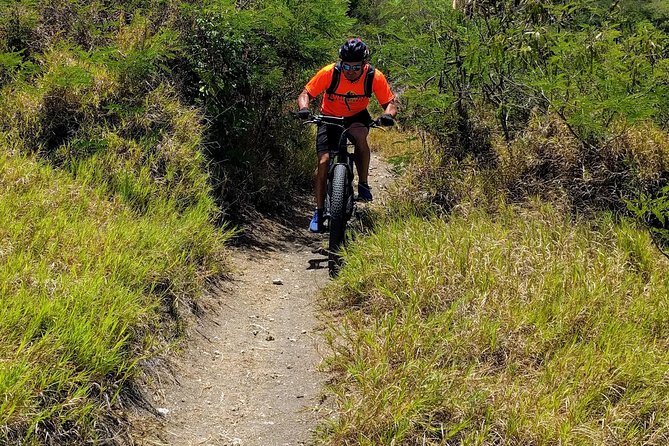 Electric Bike Bajan Sightseeing Experience (Transport Included) - What is included for $125