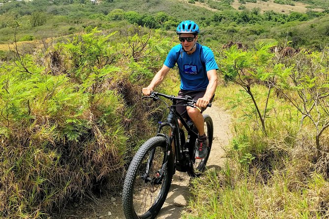 Electric Bike Bajan Sightseeing Experience (Transport Included) - Who will enjoy this ride most