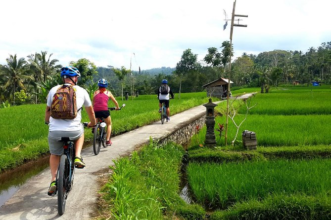 Electric Cycling Tour of Ubud with Free Hotel Transfer and Lunch - What the $41 price gets you in Ubud