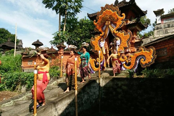 Electric Cycling Tour of Ubud with Free Hotel Transfer and Lunch - Tegalalang Rice Terrace and the best photo stop