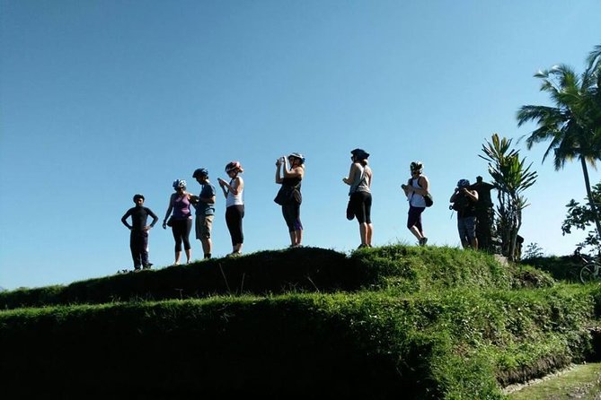 Electric Cycling Tour of Ubud with Free Hotel Transfer and Lunch - Jungle swing, plantation coffee, and an important ethical choice