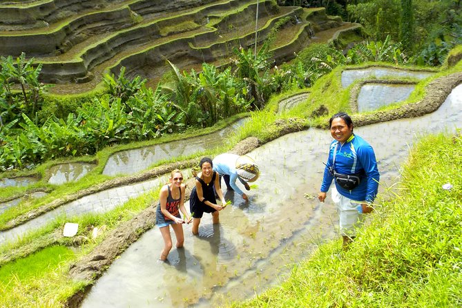 Electric Cycling Tour of Ubud with Free Hotel Transfer and Lunch - Safety, comfort, and who should book