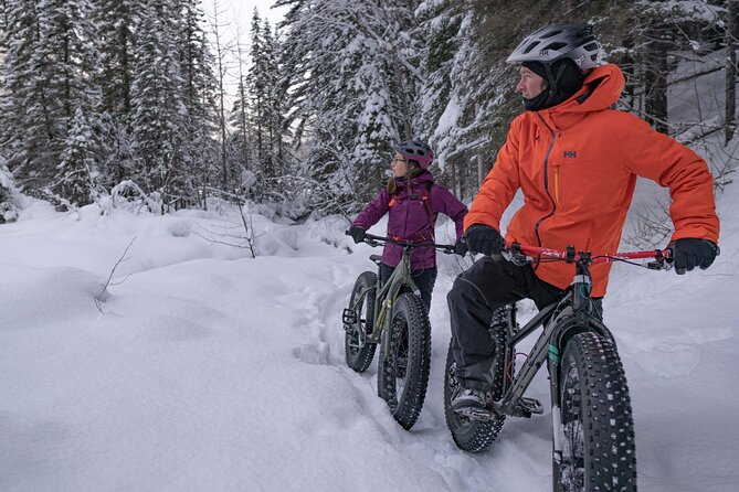 Electric Fat Biking Adventure in Banff | Small Group Adventure - Fenland Trail, a calm introduction to Banff’s woods