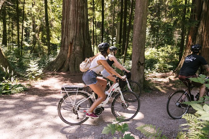 Epic Electric Bike Tour by Cycle City Tours - What the Guides Add