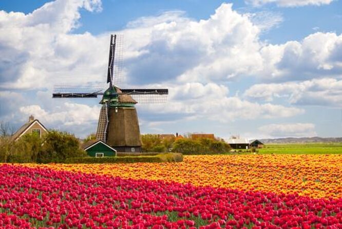 Escape Amsterdam: E-Bike to Zaanse Schans Windmills & Zaandam - Five useful things to know before booking