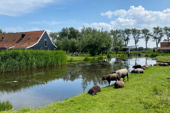 Escape Amsterdam: E-Bike to Zaanse Schans Windmills & Zaandam - Why this route is better than a bus for some visitors
