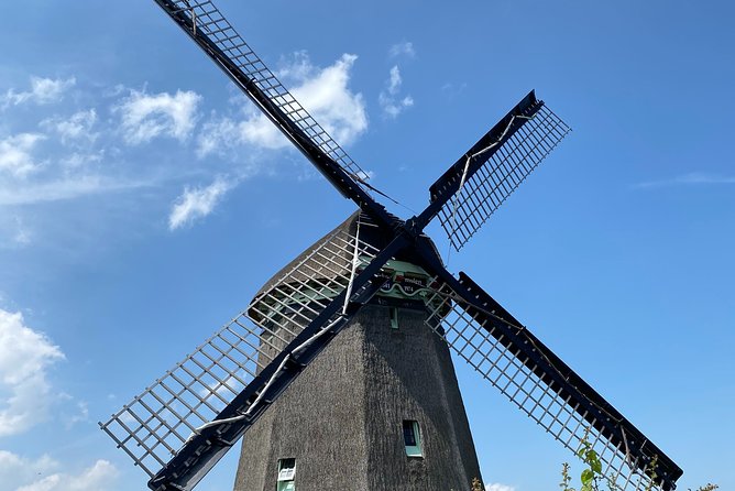 Escape Amsterdam: E-Bike to Zaanse Schans Windmills & Zaandam - Zaanse Schans: allow time for the main attraction