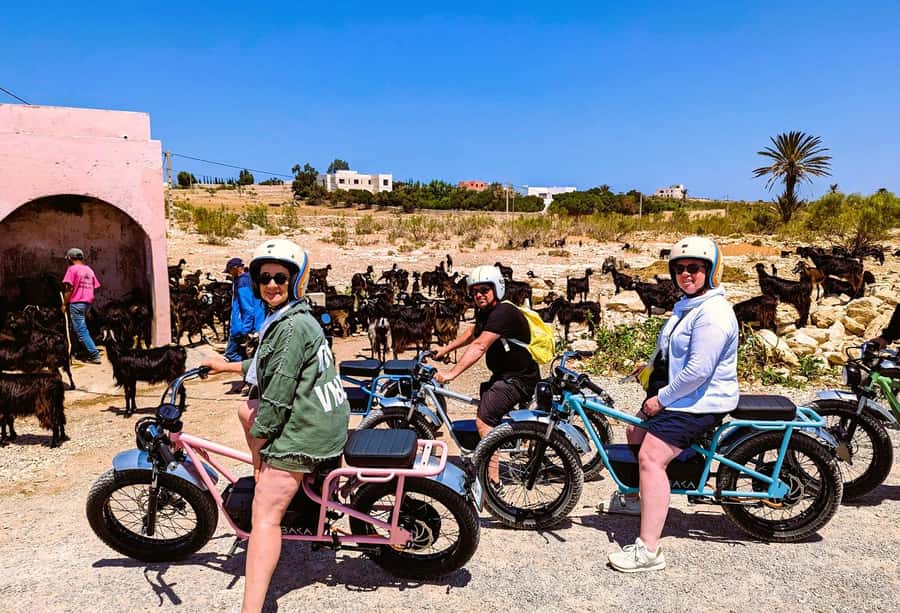 Essaouira: Area Highlights Guided E-Bike Tour - Tea, cake, and the easy ride back