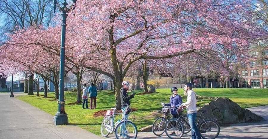 Essential Portland: 2-Hour Guided Bike Tour - Waterfront paths and the city’s cycling culture