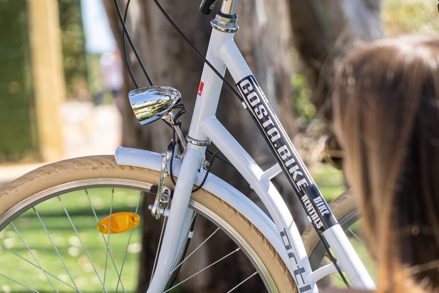 Estepona best kept secrets: City bike guided tour - Key details at a glance