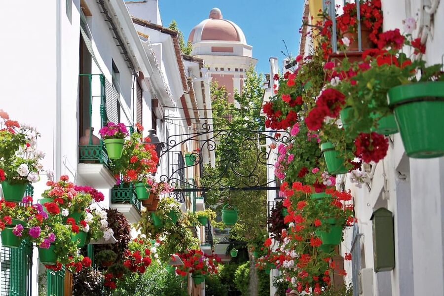 Estepona best kept secrets: City bike guided tour - The guide can make or break the experience