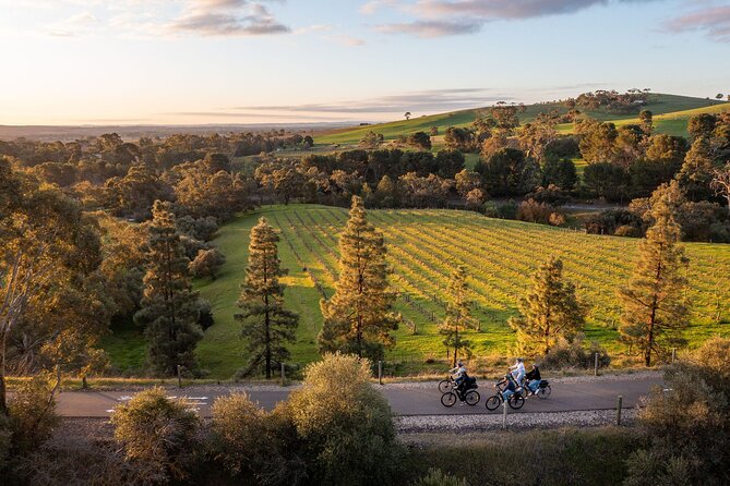Experience Barossa Valley by E-bike - One and a half hours at the Chocolate Company