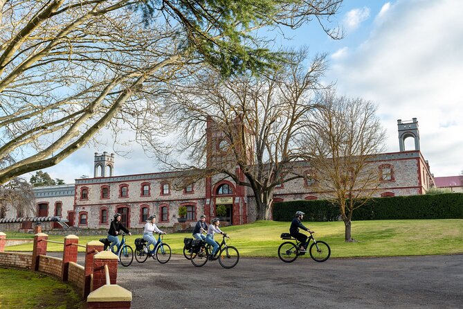 Experience Barossa Valley by E-bike - Six wines at Artisans of Barossa