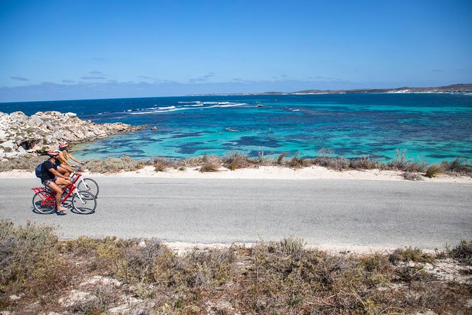 Experience Rottnest with Ferry & Bike Hire - What this Rottnest day actually gives you