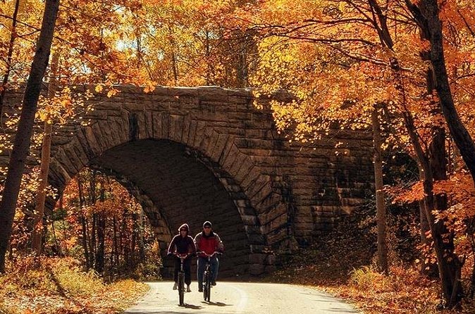 Explore Acadia with Ease Premium E-bike Rentals and Free Delivery - Who will enjoy this rental most?