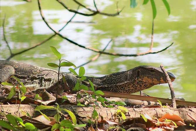 Family Bicycle Tour in the Green Oasis of Bangkok on Bamboo bikes - Weather, cancellation, and small planning points
