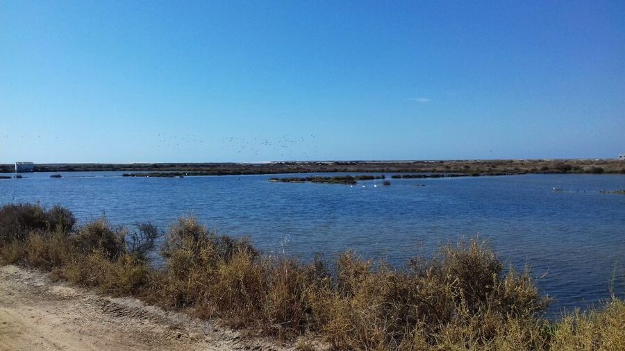 Faro Bike Tour through the Beautiful Ria Formosa - Key Things To Know Before You Ride