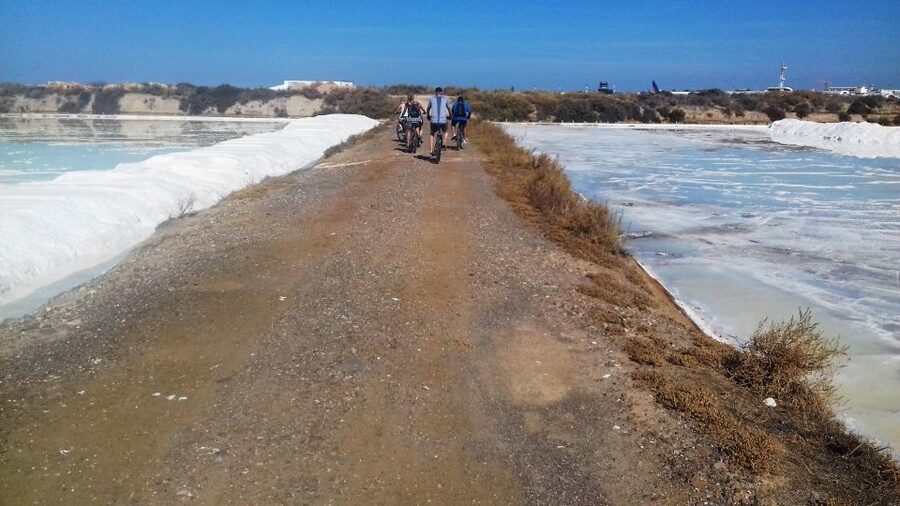 Faro Bike Tour through the Beautiful Ria Formosa - Who Should Book This Faro Bike Tour?