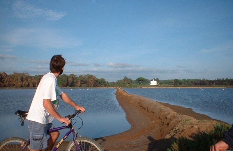 Faro Bike Tour through the Beautiful Ria Formosa - Starting At Faro’s Nautical Club