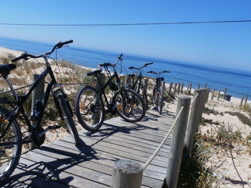 Faro Bike Tour through the Beautiful Ria Formosa - The Ride To Praia De Faro