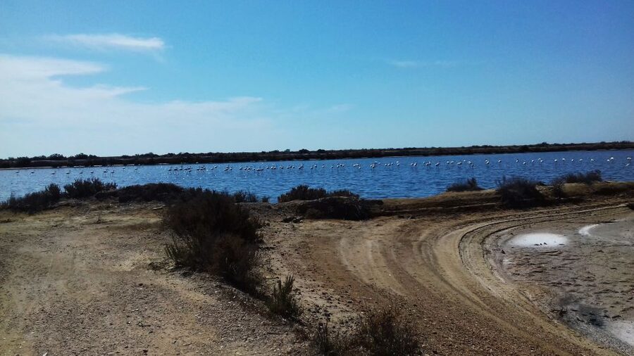 Faro Bike Tour through the Beautiful Ria Formosa - How Hard Is The Cycling?