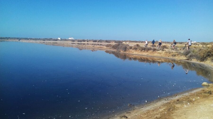 Faro Bike Tour through the Beautiful Ria Formosa - Guide Quality And Language Choices