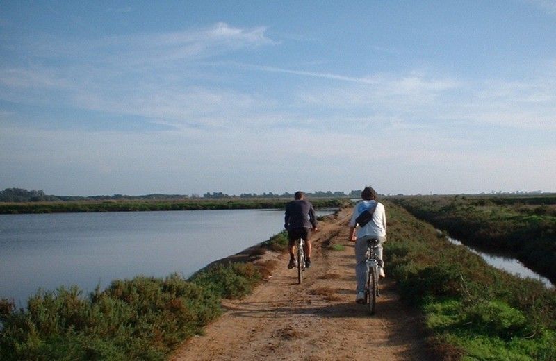 Faro Bike Tour through the Beautiful Ria Formosa - Pedaling Into The Ria Formosa