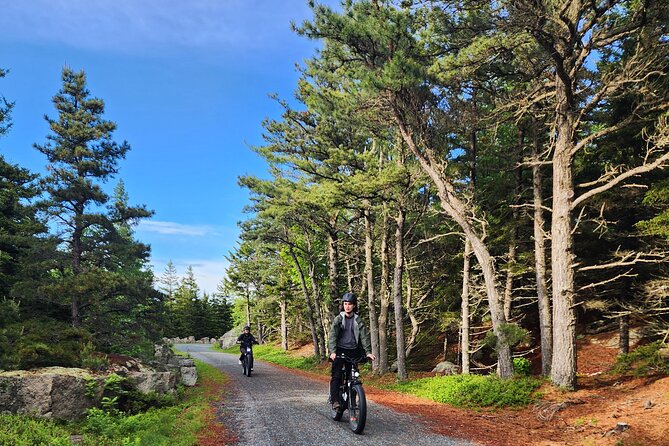 Fat Tire E-Bike Rental in Bar Harbor - The views, wildlife, and quiet rhythm