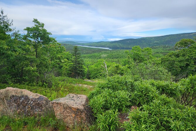 Fat Tire E-Bike Rental in Bar Harbor - Safety, equipment, and the small details