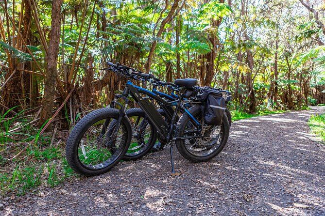 Fat Tire E-Bike Rental - Volcanoes National Park - What the $125 price really buys