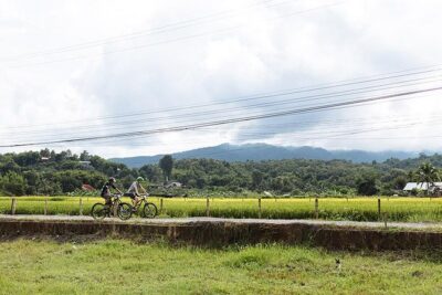 FIELDS OF GOLD Mountain Biking Tour Chiang Mai
