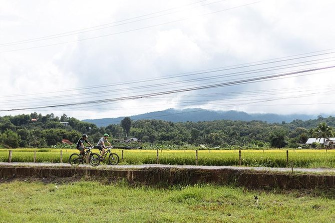 FIELDS OF GOLD Mountain Biking Tour Chiang Mai - Starting at 8:30 in central Chiang Mai