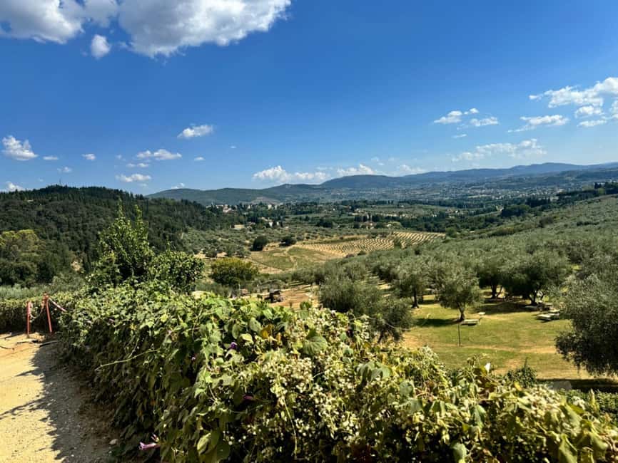 Fiesole E-Bike Tour with Olive Oil Tasting or Pool & Chill - The afternoon pool, wine, and bruschetta option