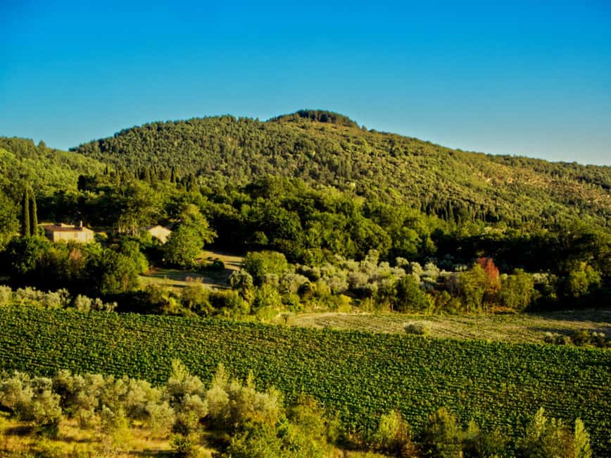 Fiesole E-Bike Tour with Olive Oil Tasting or Pool & Chill - Guide quality and group comfort