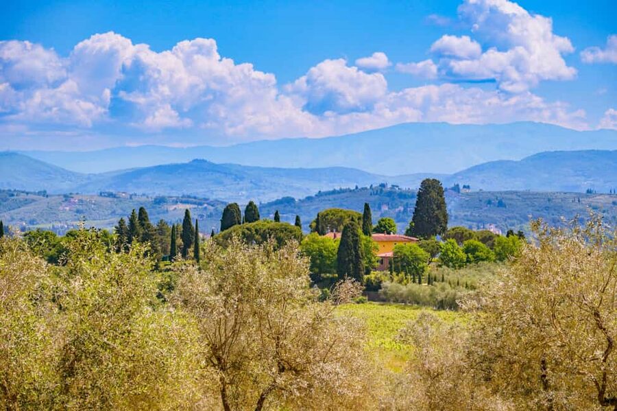 Florence: Chianti E-Bike Tour with Lunch & Two Wine Tastings - From Via Cavour Into The Tuscan Hills