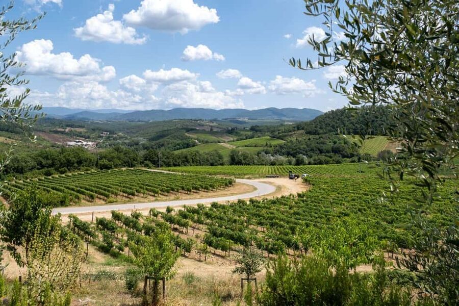 Florence: Chianti E-Bike Tour with Wine Tasting and Lunch - Is the $117 price good value?