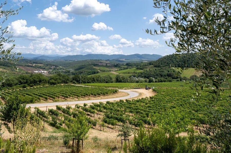 Florence: Chianti E-Bike Tour with Wine Tasting and Lunch - Should you book the Chianti e-bike tour?