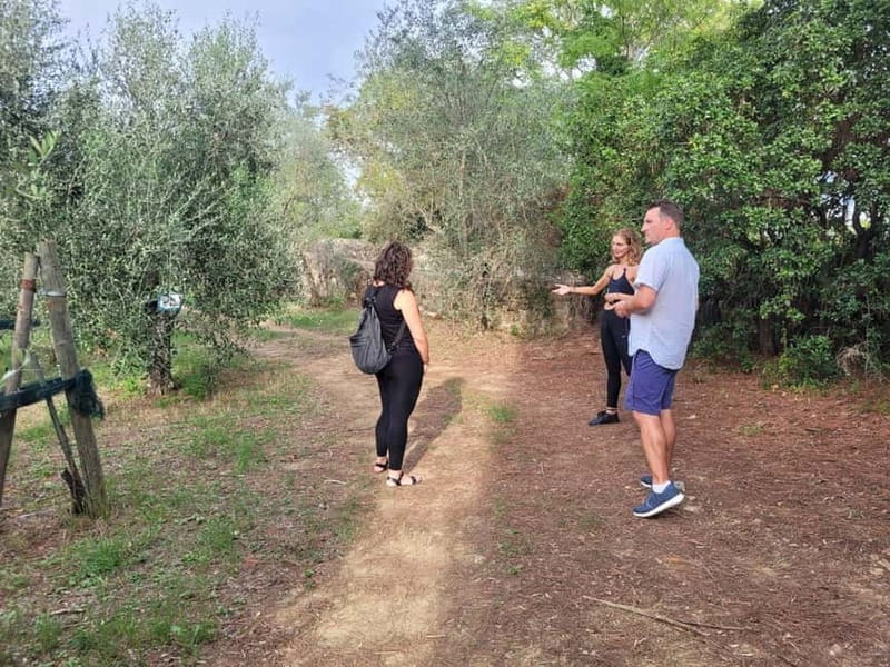 Florence: E-Bike Tour in Tuscany with Winery & Wine Tasting - How good is the value?