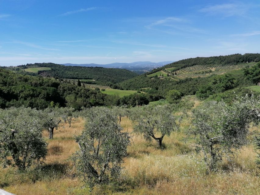 Florence: E-Bike Tour with Olive Oil in the Tuscan Hills - San Miniato al Monte and Florence from above