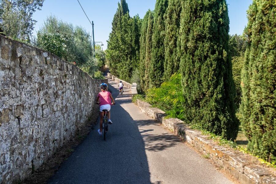 Florence: Tuscany Bike Tour with Wine & Olive Oil - Key points to know before you ride