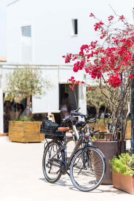 Formentera: discover our fast ferry + bike package - Leaving Ibiza on the 30-minute ferry