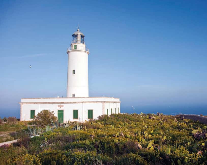 Formentera: discover our fast ferry + electric bike package. - Starting at the Ibiza port