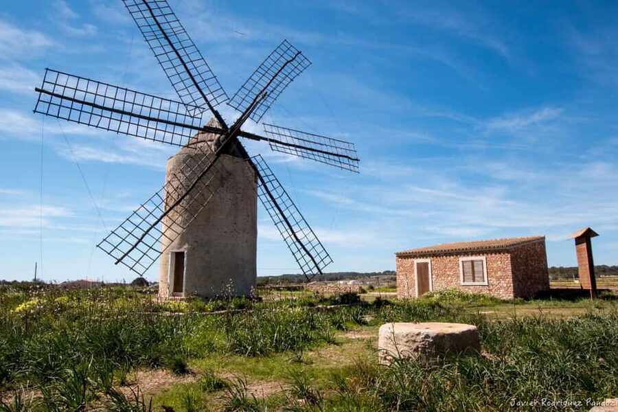 Formentera: discover our fast ferry + electric bike package. - Small details that make the day easier