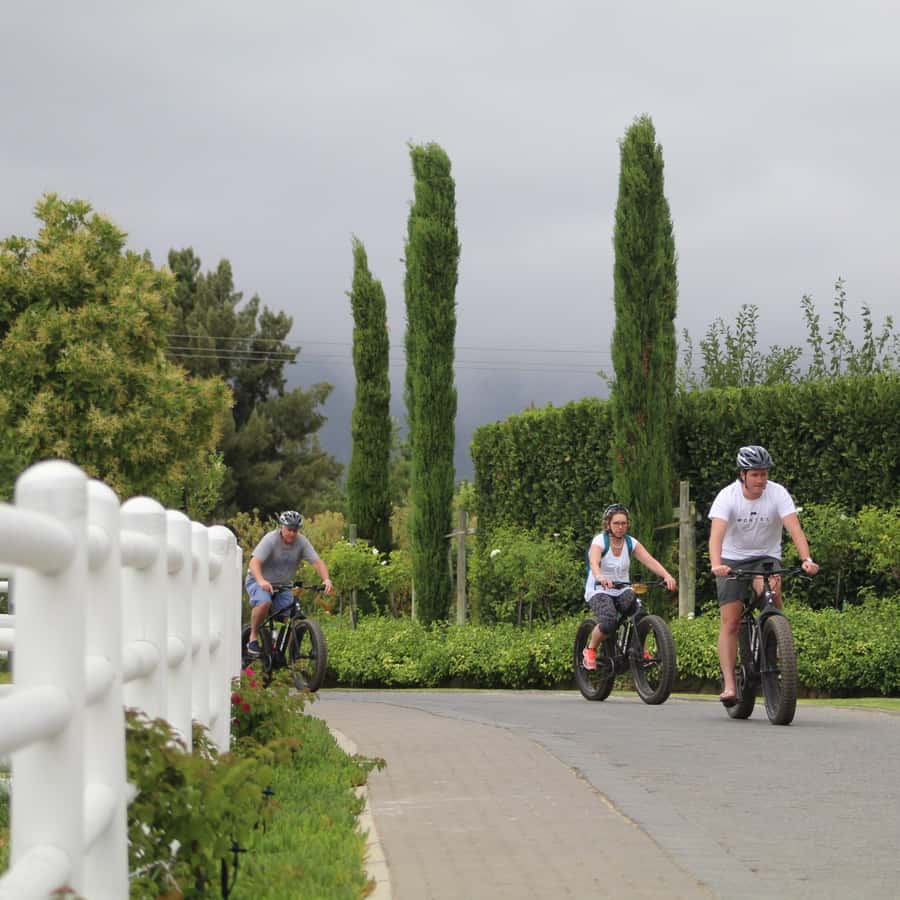 Franschhoek: E-Bike Guided Winery Tour - Key points before you book