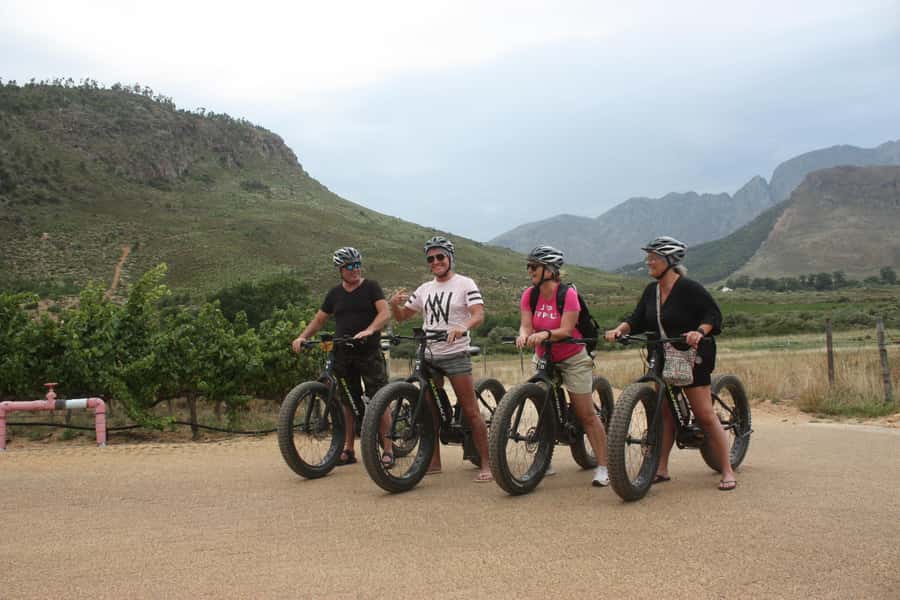 Franschhoek: E-Bike Guided Winery Tour - Winery stop one: about 45 minutes of tasting and photos