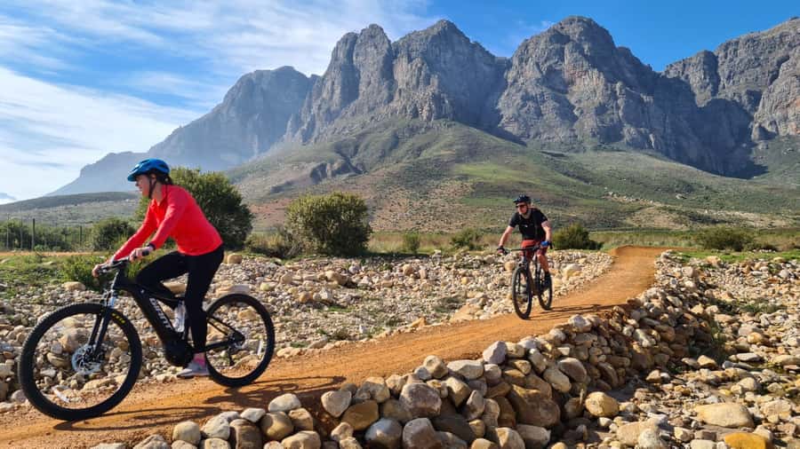 Franschhoek: E-bike Tour with Wine Tasting and Lunch - Lunch and wine tasting in Franschhoek