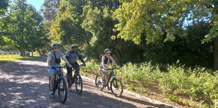 Franschhoek E-Bike & Wine Tour - Why an e-bike makes sense in Franschhoek